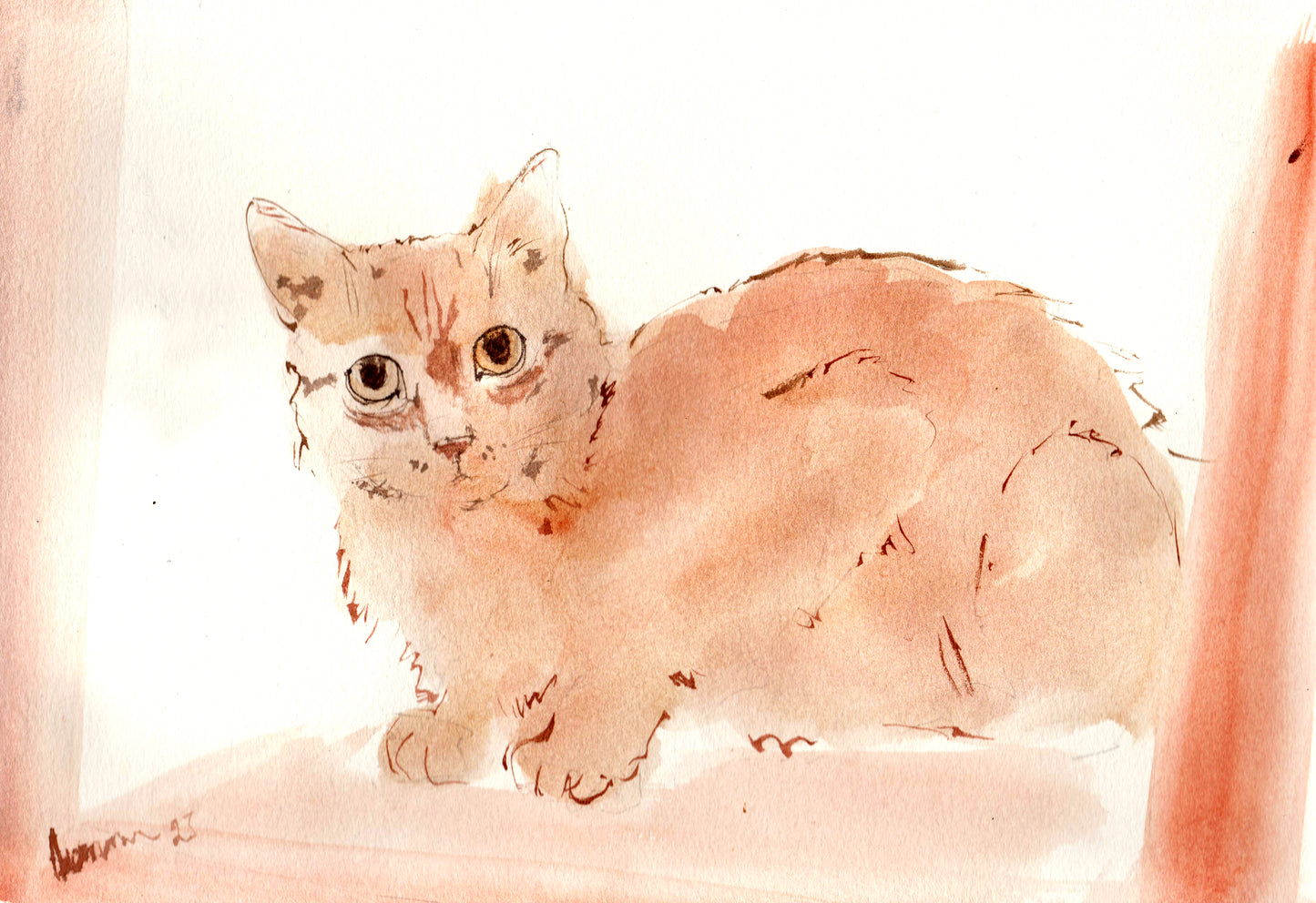 Watercolor Sketch of a Cat