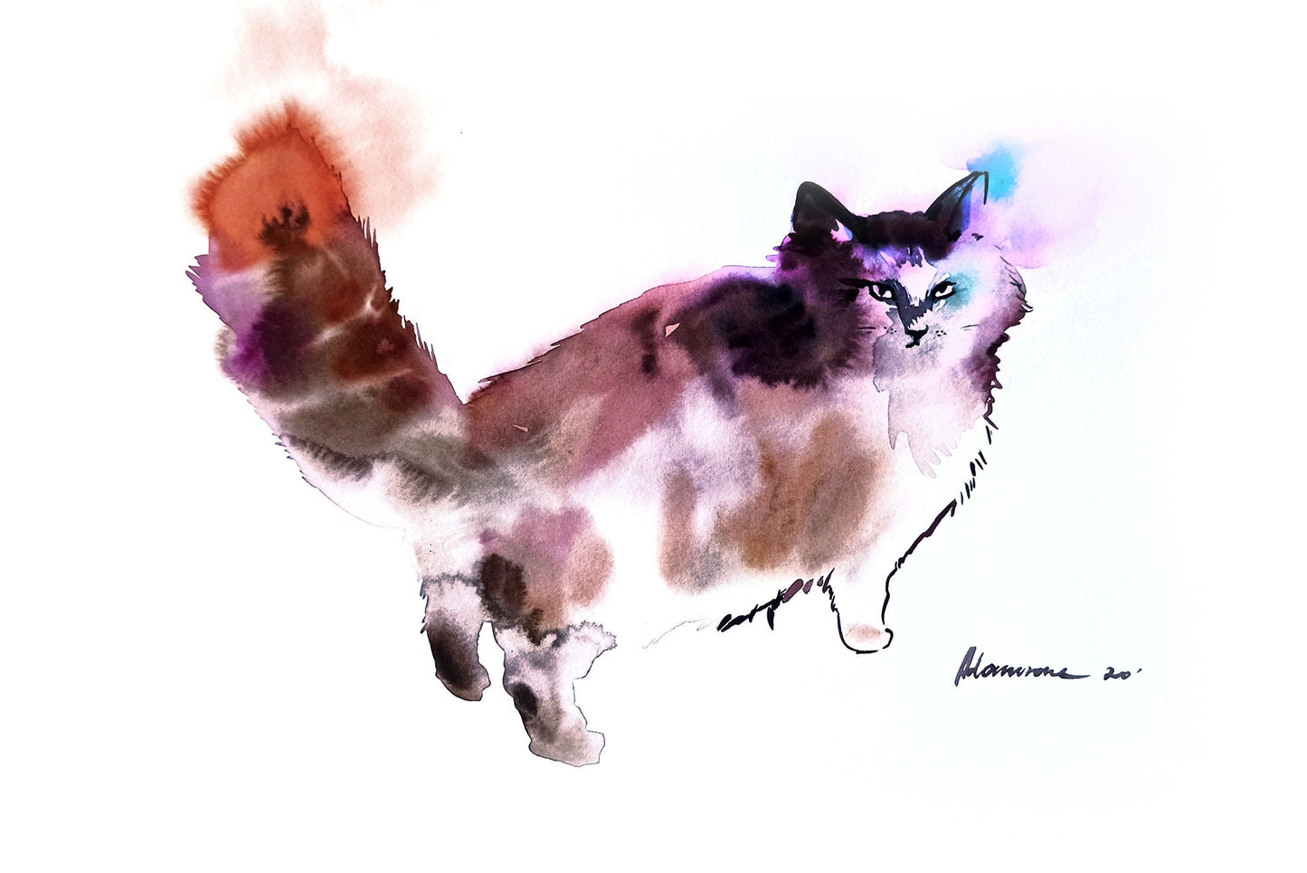 Persian cat painting - watercolor original painting of a fluffy cat