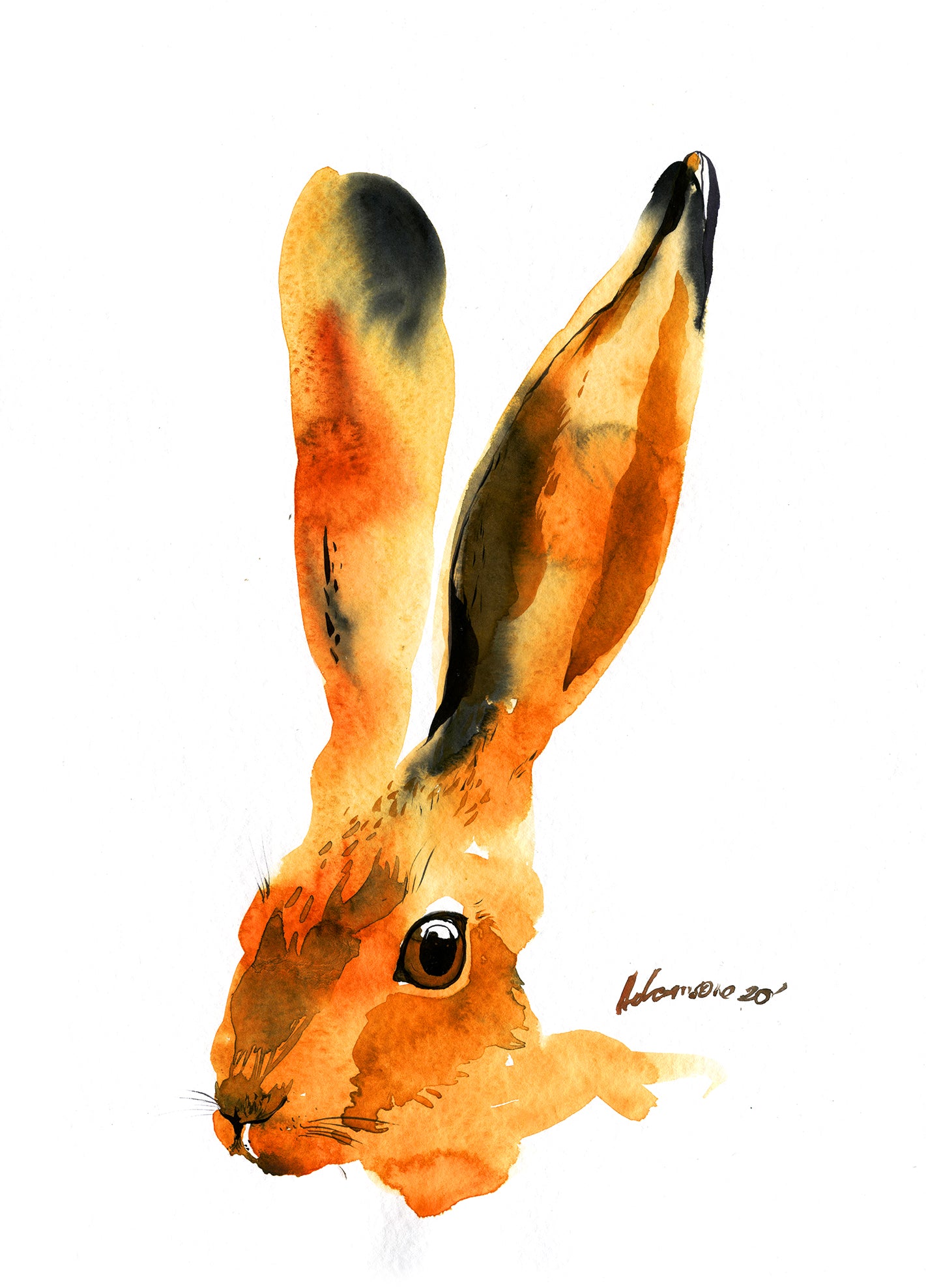 Rabbit print - watercolor art print. Hare water color.