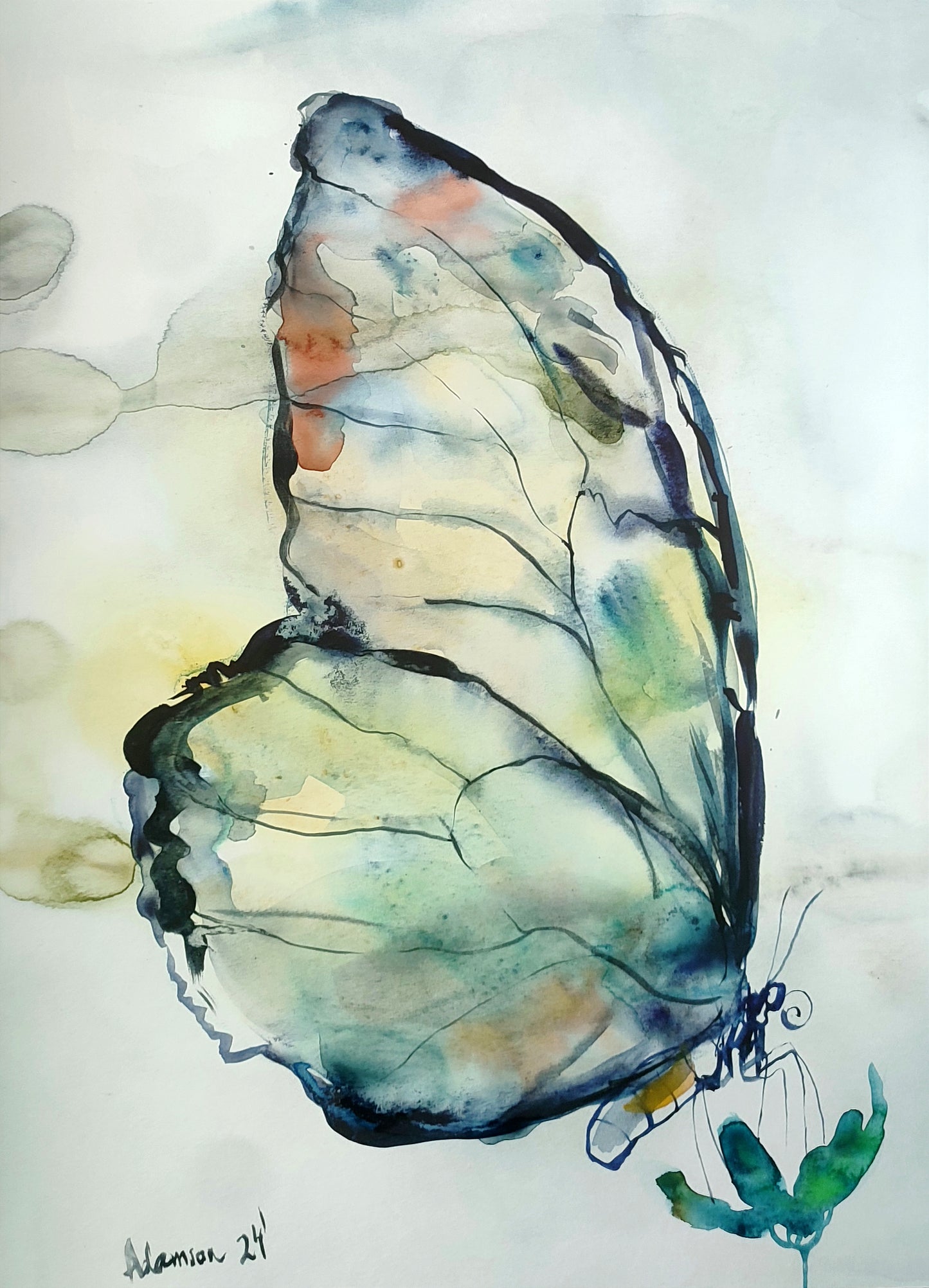 Butterfly Original Watercolor Painting