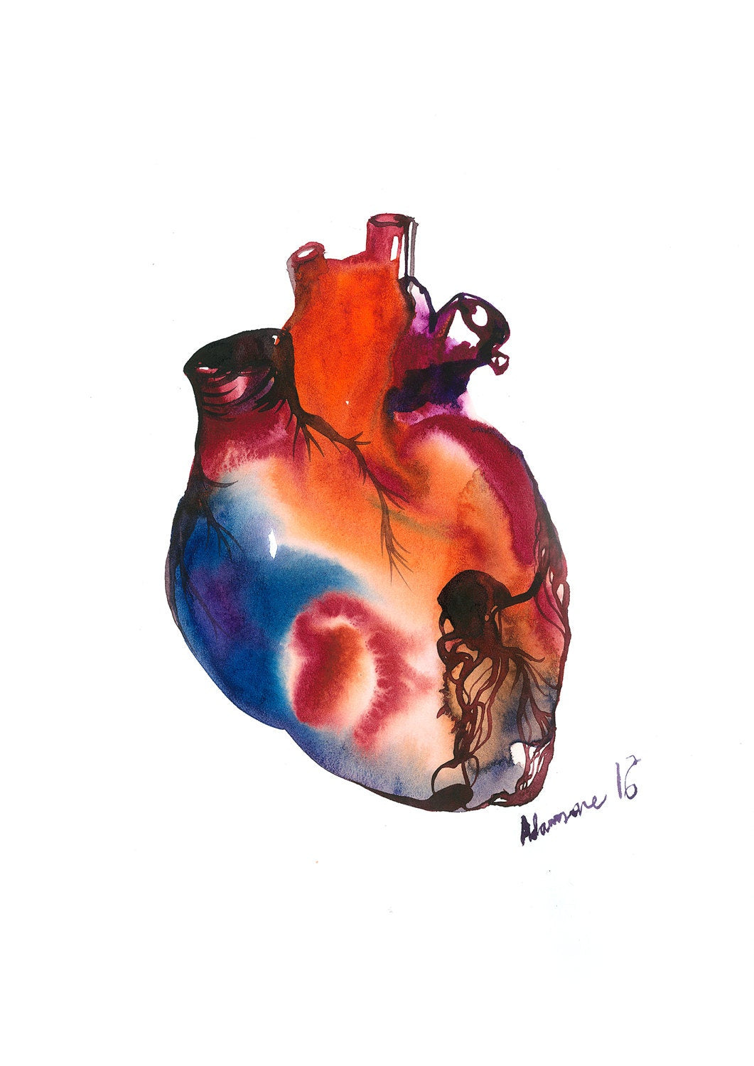 Anatomical Heart Print - watercolor painting. Gift for doctor or nurse