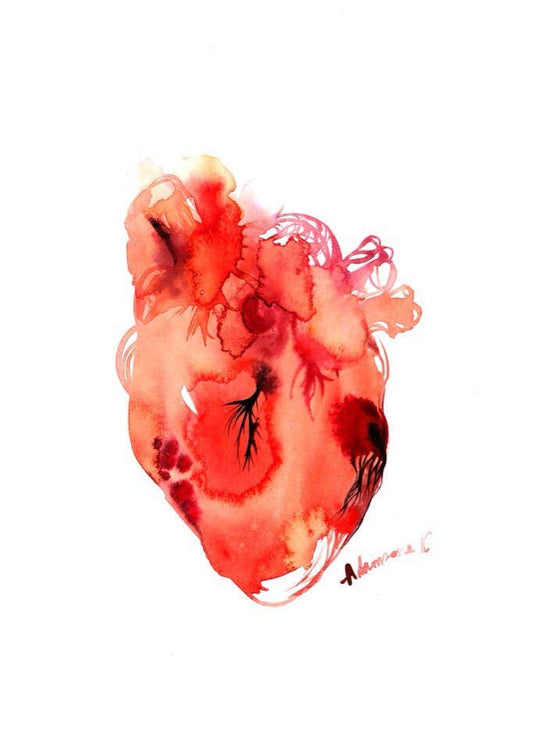 Human heart print watercolor canvas wall art. Gift for nurse or doctor
