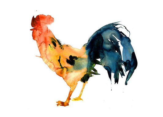 Watercolor rooster print. Watercolour chicken picture. Colorful farmhouse water color art