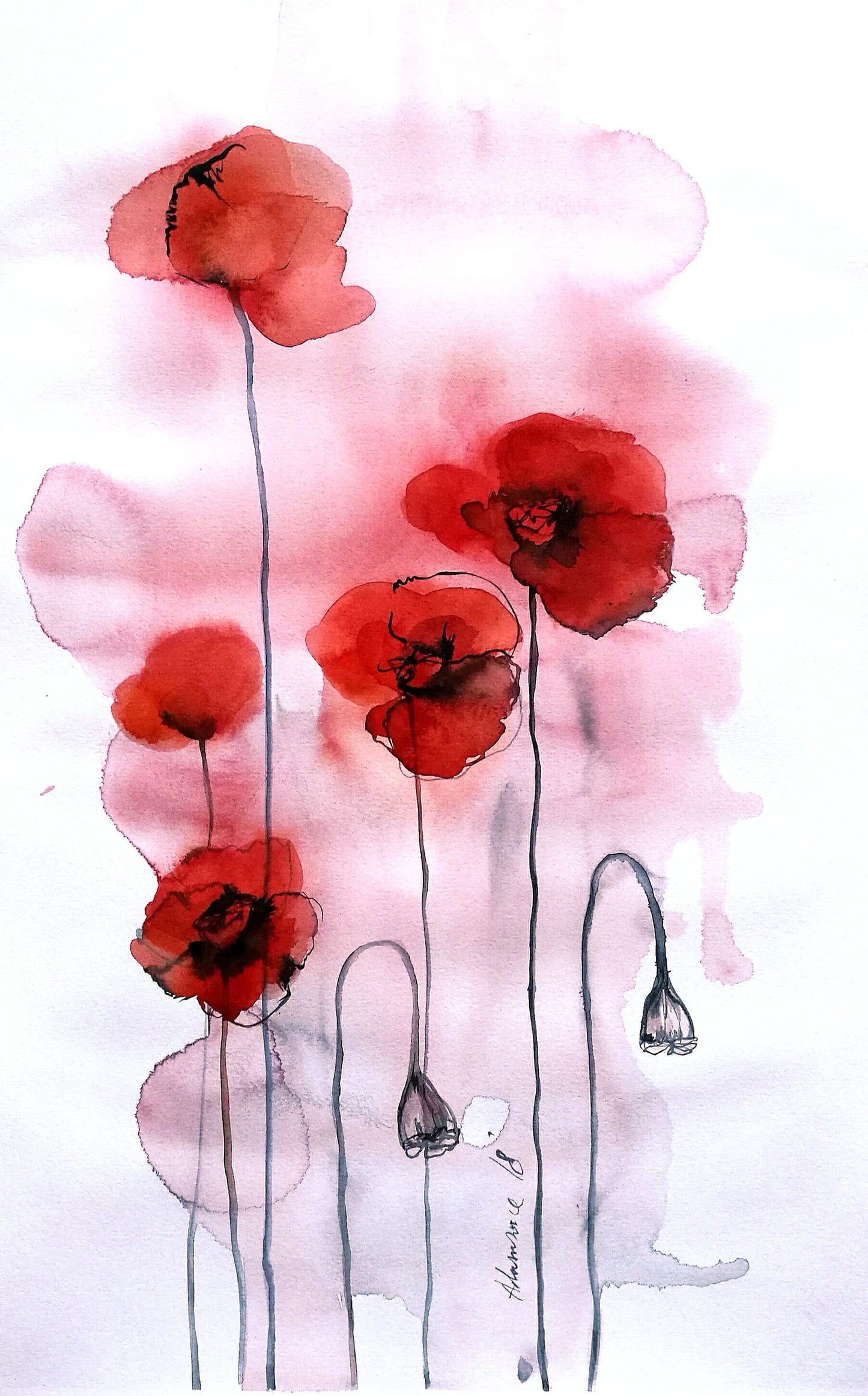 California poppy painting - original watercolor. Water color picture of red flowers