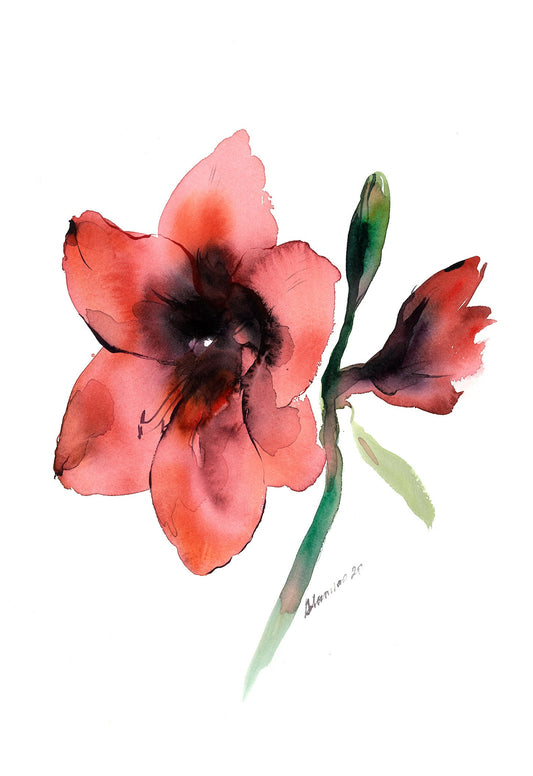 Flower Watercolor Painting - Red Amarillis Original Water color Wall Art - Unique present for wedding