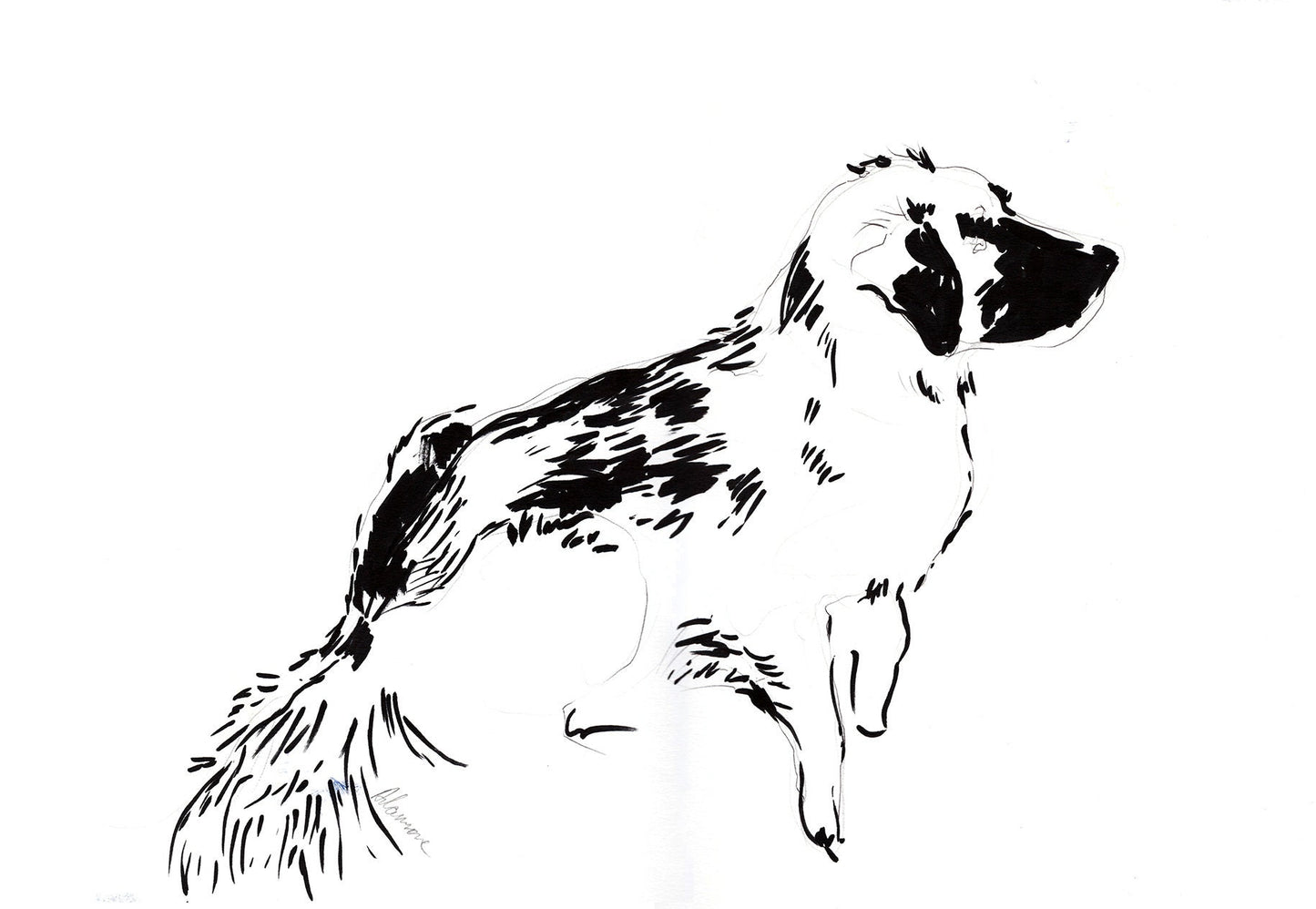 Dog sketch - original black and white marker and pen drawing
